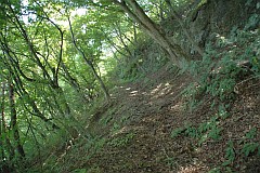 中道往還旧道の画像