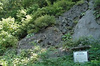 日蔭山の枕状溶岩の画像