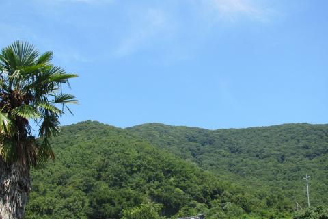 大蔵経寺山