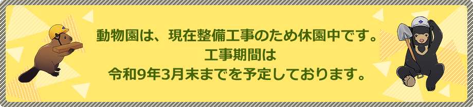 動物園は、現在整備工事のため休園中です。工事期間は令和9年3月末までを予定しております。