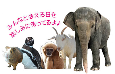 動物たち