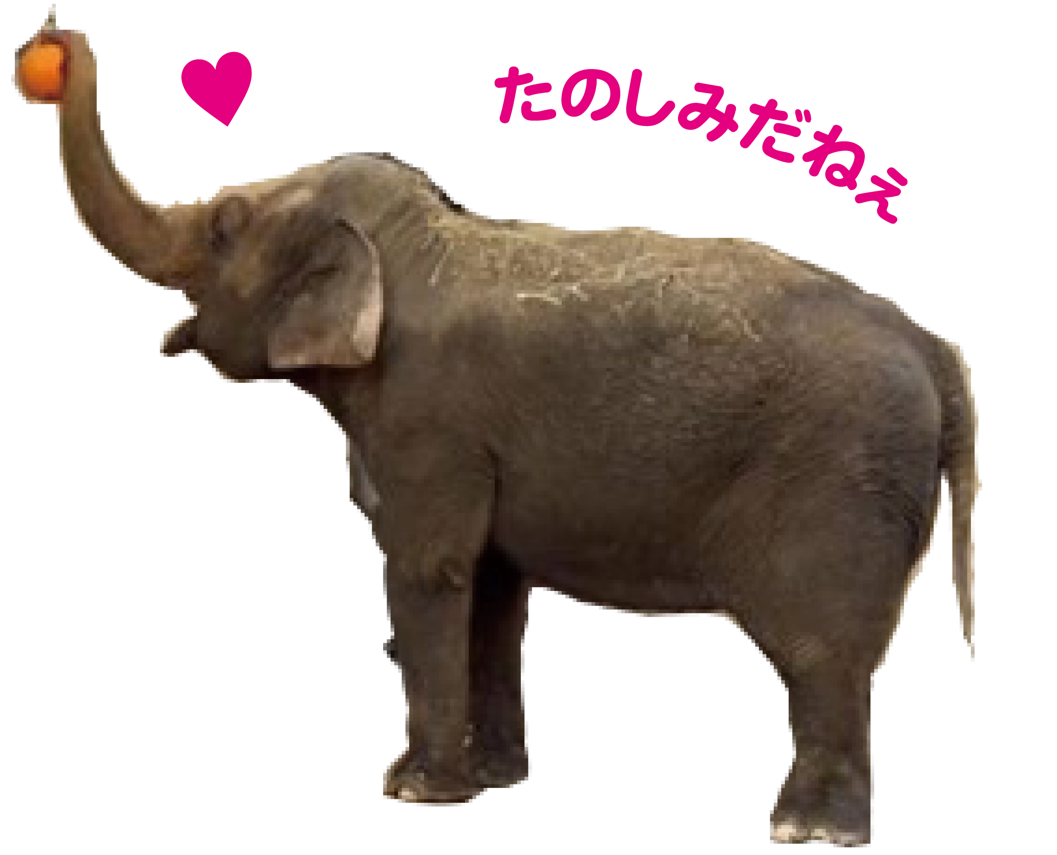 202608-zoo1