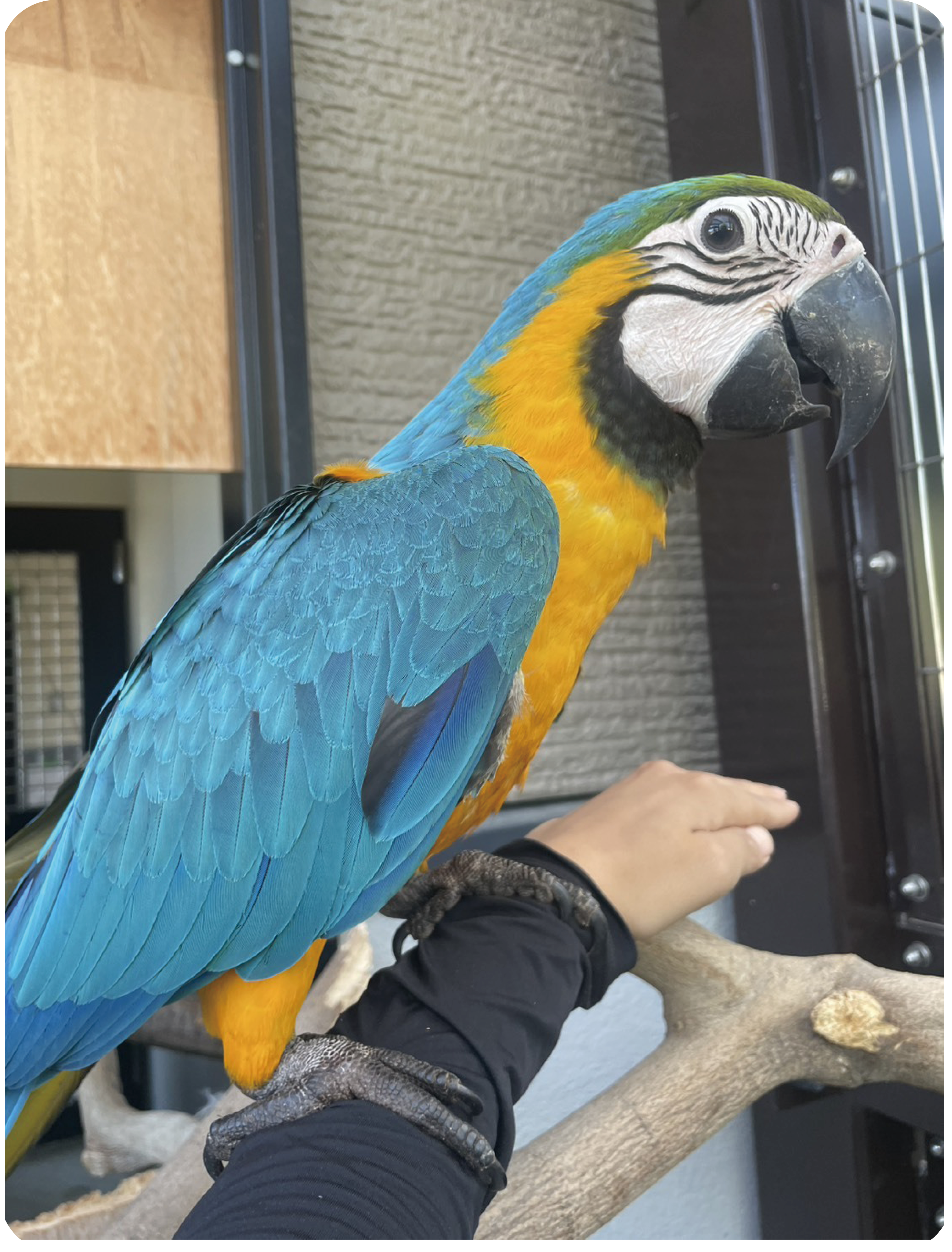 202610-26zoo