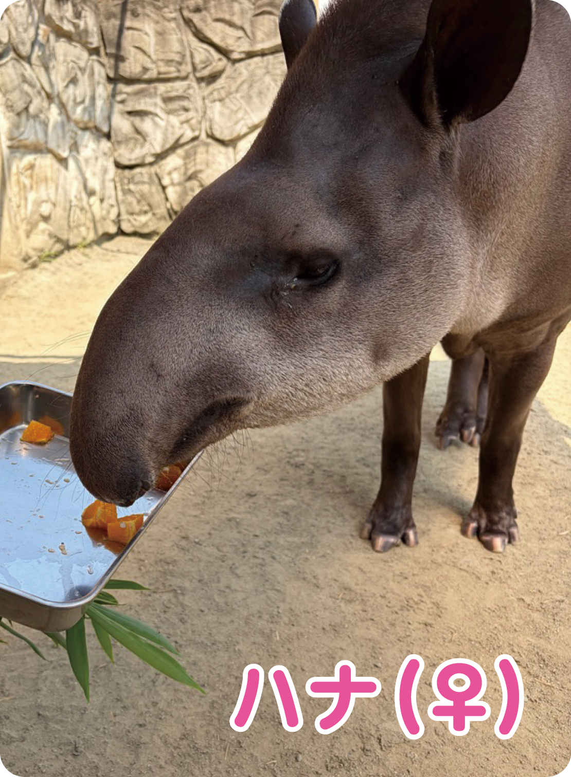 202609-zoo2